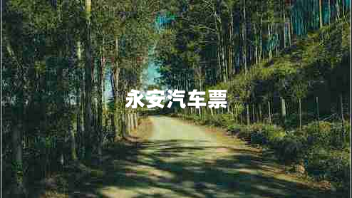 永安汽車(chē)票
