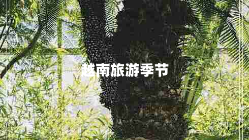 越南旅游季節