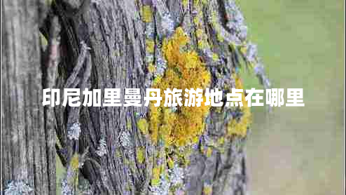 印尼加里曼丹旅游地點(diǎn)在哪里