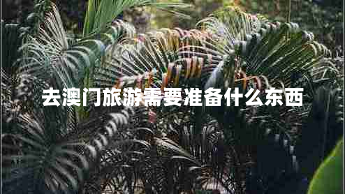 去澳門(mén)旅游需要準備什么東西