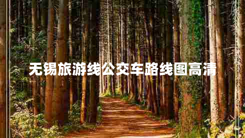 無(wú)錫旅游線(xiàn)公交車(chē)路線(xiàn)圖高清