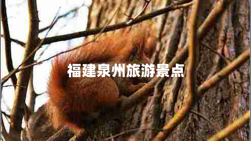 福建泉州旅游景點(diǎn)