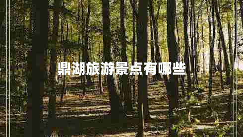 鼎湖旅游景點(diǎn)有哪些