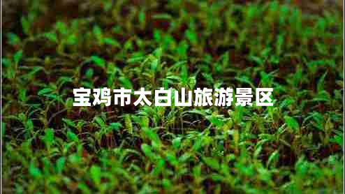 寶雞市太白山旅游景區
