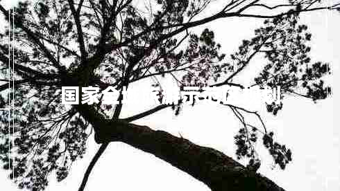 國家全域旅游示范區規劃