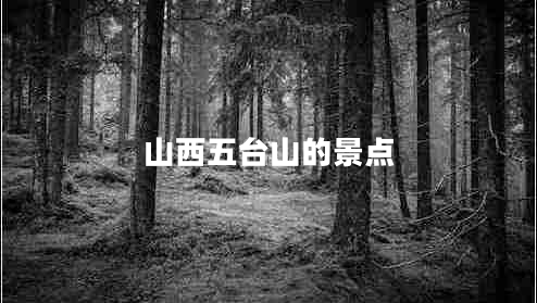 山西五臺(tái)山的景點(diǎn) 山西五臺(tái)山的景點(diǎn)