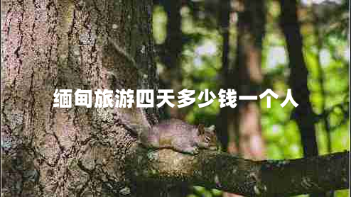緬甸旅游四天多少錢(qián)一個(gè)人