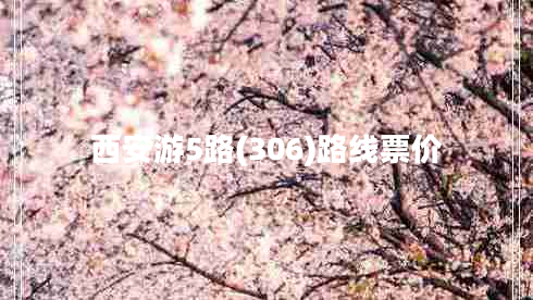 西安游5路(306)路線票價