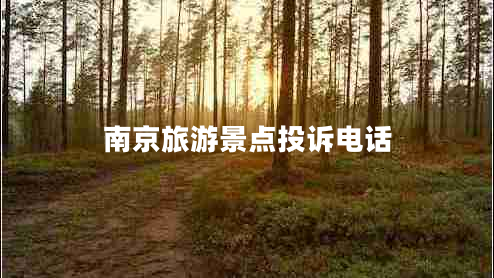 南京旅游景點(diǎn)投訴電話(huà)