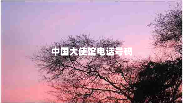 中國大使館電話(huà)號碼