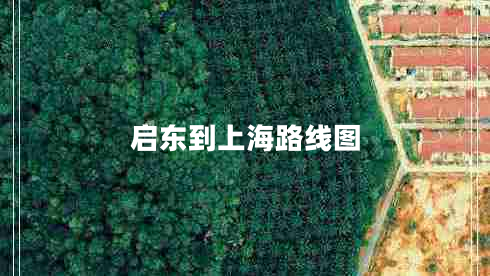 啟東到上海路線(xiàn)圖