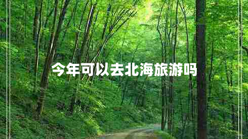 今年可以去北海旅游嗎