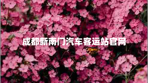成都新南門(mén)汽車(chē)客運站官網(wǎng)