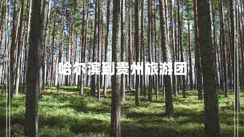 哈爾濱到貴州旅游團