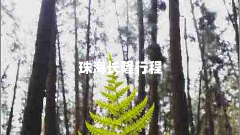 珠海長(cháng)隆行程