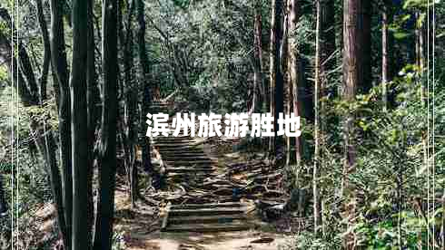 濱州旅游勝地