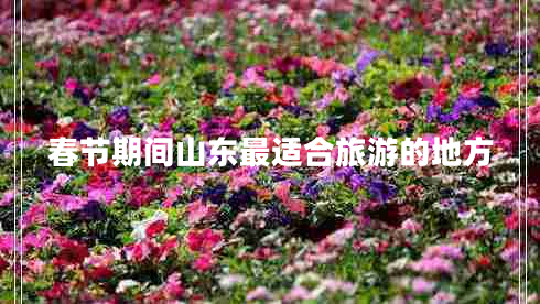 春節期間山東最適合旅游的地方