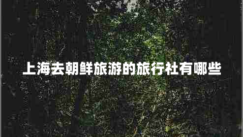 上海去朝鮮旅游的旅行社有哪些
