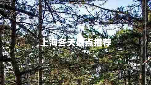 上海冬天景點(diǎn)推薦