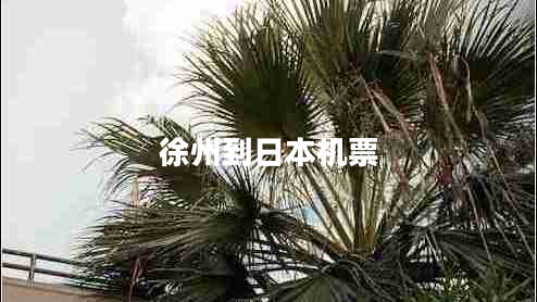 徐州到日本機票