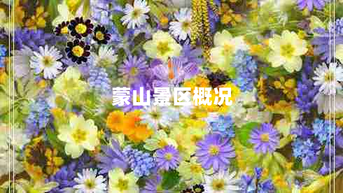 蒙山景區概況