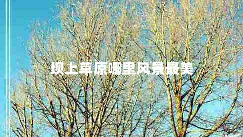 壩上草原哪里風(fēng)景最美