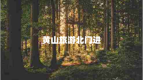 黃山旅游北門(mén)進(jìn)