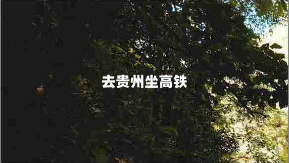 去貴州坐高鐵