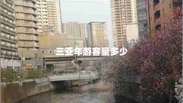 三亞年游客量多少