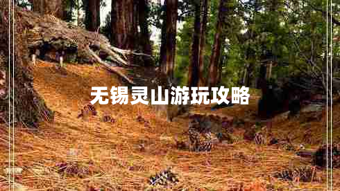 無(wú)錫靈山游玩攻略
