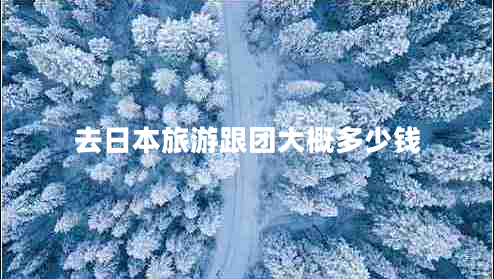 去日本旅游跟團大概多少錢(qián)