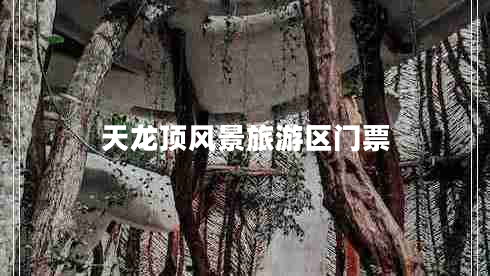 天龍頂風(fēng)景旅游區門(mén)票