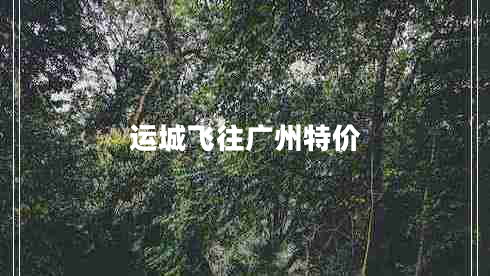 運城飛往廣州特價(jià)