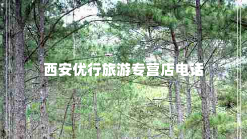 西安優(yōu)行旅游專(zhuān)營(yíng)店電話(huà)