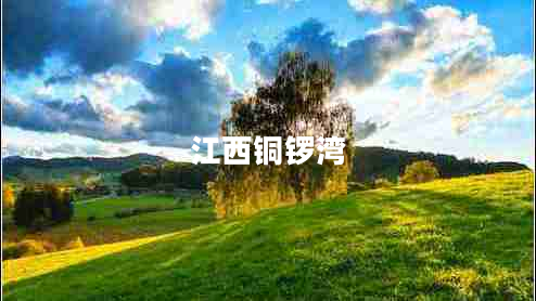 江西銅鑼灣