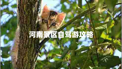 河南景區自駕游攻略
