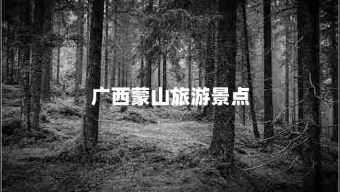 廣西蒙山旅游景點(diǎn)