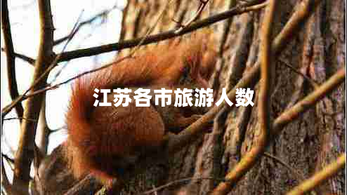 江蘇各市旅游人數