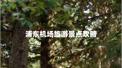 浦東機場(chǎng)旅游景點(diǎn)攻略