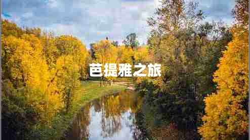 芭提雅之旅