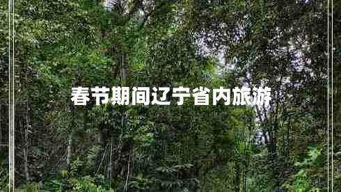 春節期間遼寧省內旅游