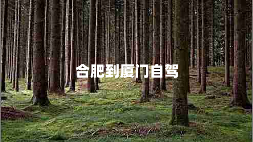 合肥到廈門(mén)自駕