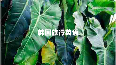 韓國旅行英語(yǔ)