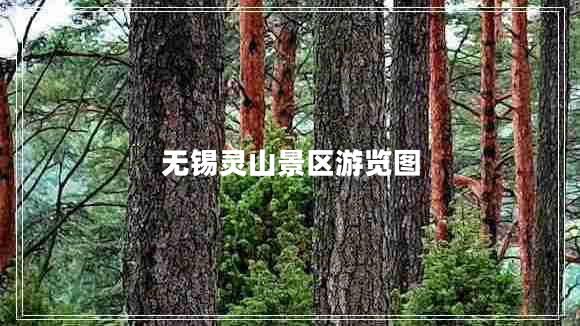 無(wú)錫靈山景區游覽圖