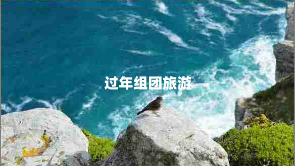 過(guò)年組團旅游