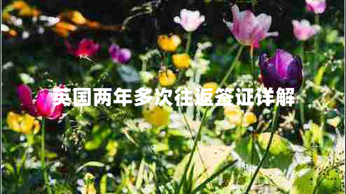 英國兩年多次往返簽證詳解