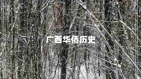 廣西華僑歷史