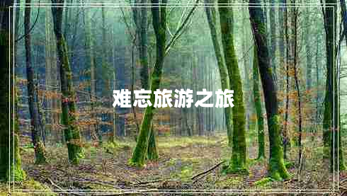 難忘旅游之旅