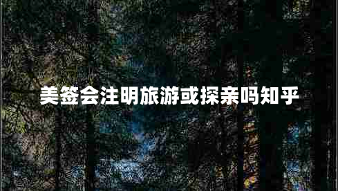 美簽會(huì )注明旅游或探親嗎知乎