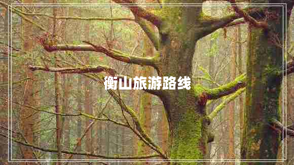 衡山旅游路線(xiàn)